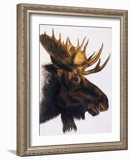 Bullwinkle-Barbara Keith-Framed Giclee Print