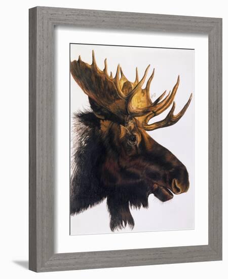 Bullwinkle-Barbara Keith-Framed Giclee Print