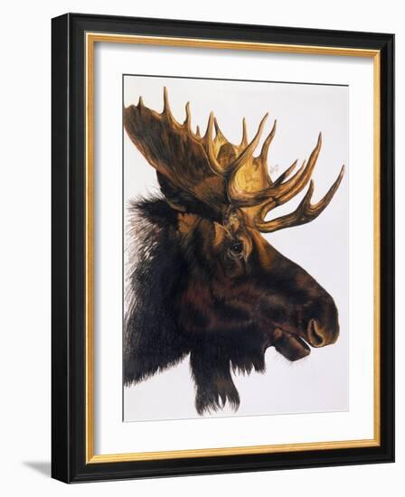 Bullwinkle-Barbara Keith-Framed Giclee Print