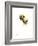 Bumble Bee 2-Suren Nersisyan-Framed Art Print