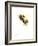 Bumble Bee 2-Suren Nersisyan-Framed Art Print