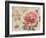 Bumble Bee and Peony-Chad Barrett-Framed Art Print