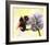 Bumble Bee on Flower 2-Sarah Stribbling-Framed Giclee Print