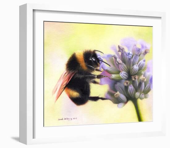 Bumble Bee on Flower 2-Sarah Stribbling-Framed Giclee Print