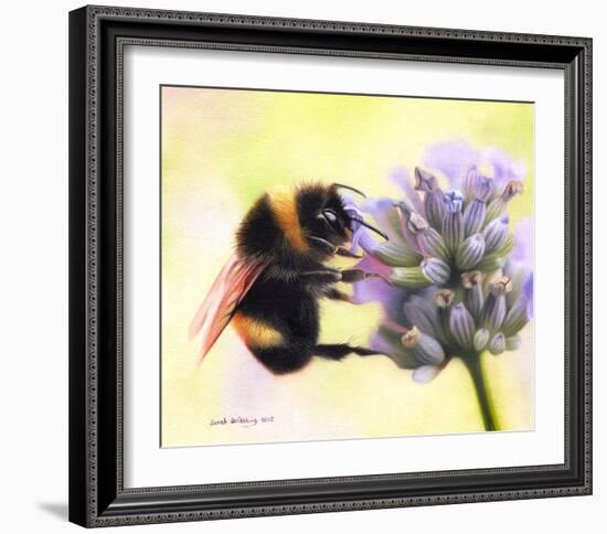 Bumble Bee on Flower 2-Sarah Stribbling-Framed Giclee Print