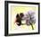 Bumble Bee on Flower 2-Sarah Stribbling-Framed Giclee Print