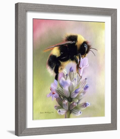 Bumble Bee on Flower-Sarah Stribbling-Framed Giclee Print