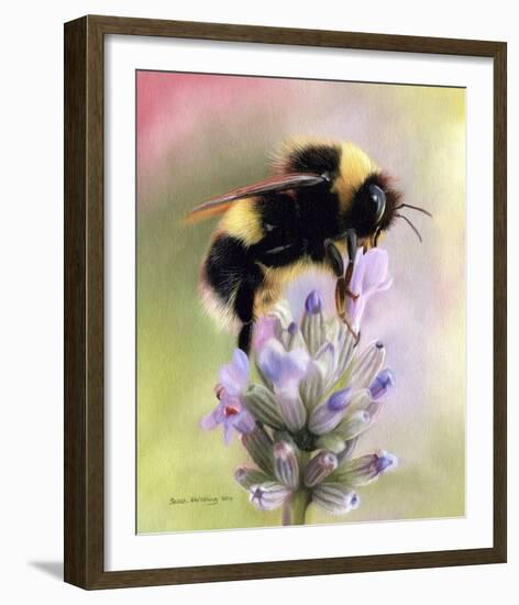 Bumble Bee on Flower-Sarah Stribbling-Framed Giclee Print