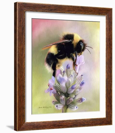 Bumble Bee on Flower-Sarah Stribbling-Framed Giclee Print