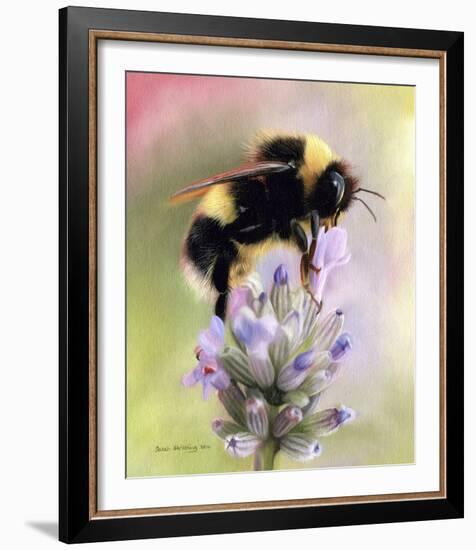 Bumble Bee on Flower-Sarah Stribbling-Framed Giclee Print