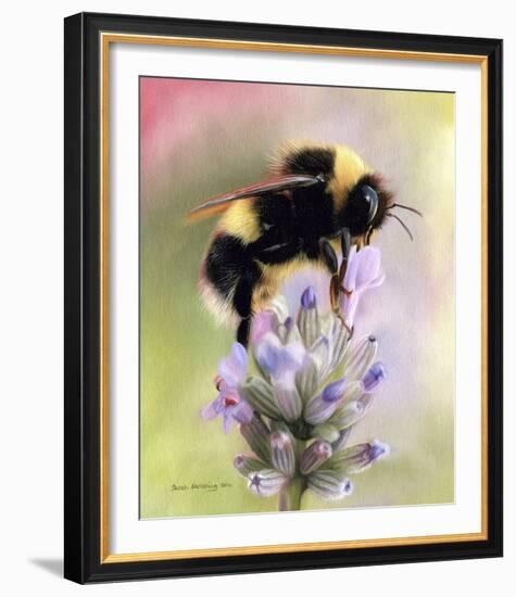 Bumble Bee on Flower-Sarah Stribbling-Framed Giclee Print