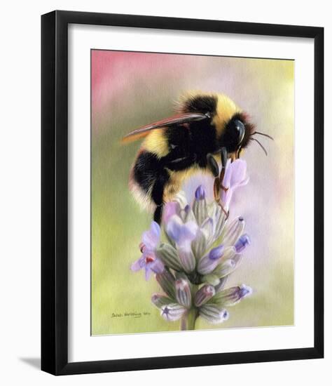 Bumble Bee on Flower-Sarah Stribbling-Framed Giclee Print