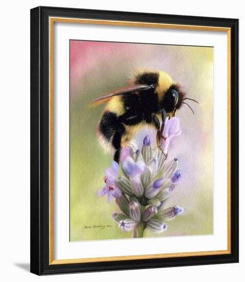 Bumble Bee on Flower-Sarah Stribbling-Framed Giclee Print