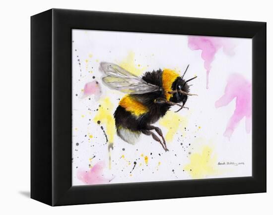 Bumble Bee Watercolor-Sarah Stribbling-Framed Stretched Canvas