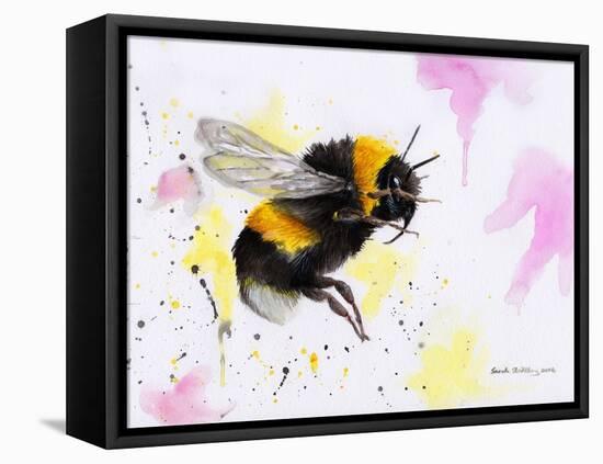 Bumble Bee Watercolor-Sarah Stribbling-Framed Stretched Canvas