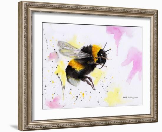 Bumble Bee Watercolor-Sarah Stribbling-Framed Art Print