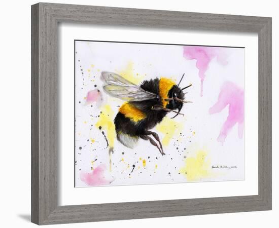 Bumble Bee Watercolor-Sarah Stribbling-Framed Art Print