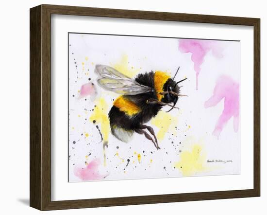 Bumble Bee Watercolor-Sarah Stribbling-Framed Art Print