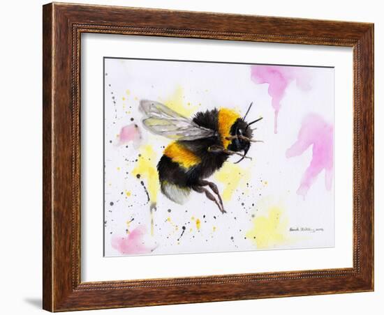 Bumble Bee Watercolor-Sarah Stribbling-Framed Art Print