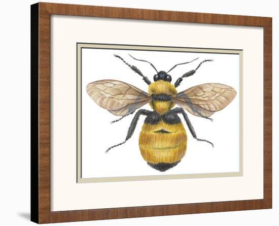 Bumble Bee-null-Framed Art Print