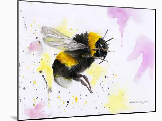 Bumble Bee-Sarah Stribbling-Mounted Giclee Print