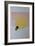 Bumblebee and Sun, 2013-Bella Larsson-Framed Giclee Print