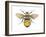 Bumblebee (Bombus Pennsylvanicus), Insects-Encyclopaedia Britannica-Framed Art Print