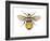 Bumblebee (Bombus Pennsylvanicus), Insects-Encyclopaedia Britannica-Framed Art Print