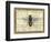 Bumblebee Harmony II-Vision Studio-Framed Art Print