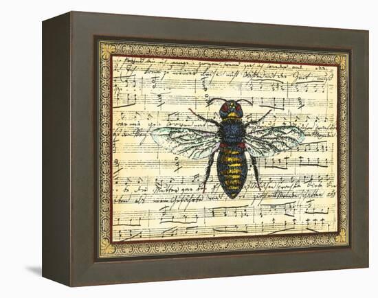 Bumblebee Harmony II-Vision Studio-Framed Stretched Canvas