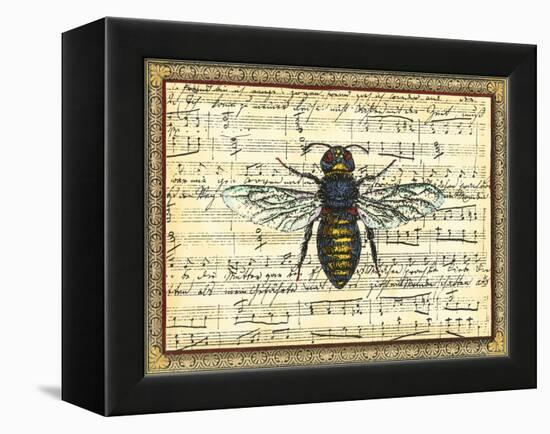 Bumblebee Harmony II-Vision Studio-Framed Stretched Canvas