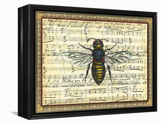 Bumblebee Harmony II-Vision Studio-Framed Stretched Canvas