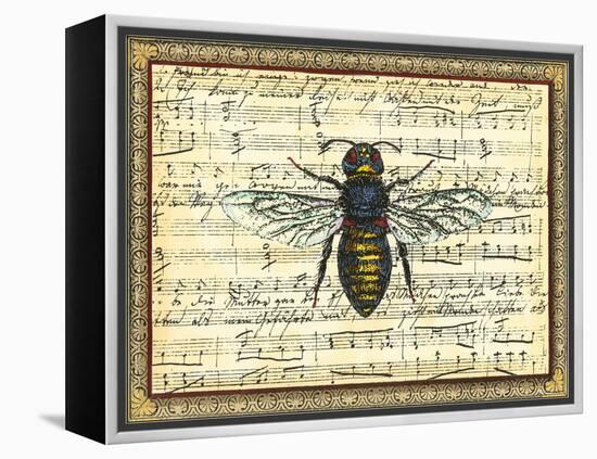 Bumblebee Harmony II-Vision Studio-Framed Stretched Canvas