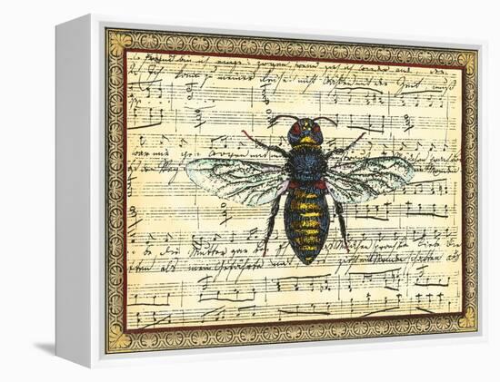 Bumblebee Harmony II-Vision Studio-Framed Stretched Canvas