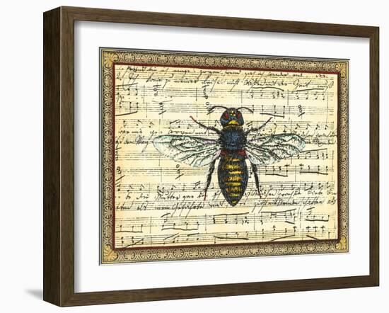 Bumblebee Harmony II-Vision Studio-Framed Art Print