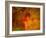 Bump in the Night-Katherine Sanderson-Framed Photographic Print