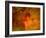 Bump in the Night-Katherine Sanderson-Framed Photographic Print