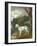 "Bumper", a Bull Terrier, 1745-Thomas Gainsborough-Framed Giclee Print