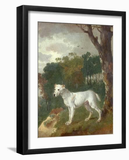 "Bumper", a Bull Terrier, 1745-Thomas Gainsborough-Framed Giclee Print