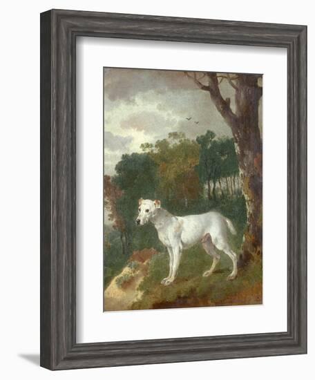 "Bumper", a Bull Terrier, 1745-Thomas Gainsborough-Framed Giclee Print