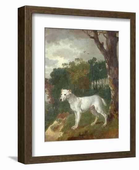 "Bumper", a Bull Terrier, 1745-Thomas Gainsborough-Framed Giclee Print