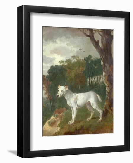 "Bumper", a Bull Terrier, 1745-Thomas Gainsborough-Framed Giclee Print