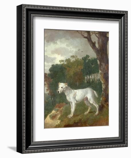 "Bumper", a Bull Terrier, 1745-Thomas Gainsborough-Framed Giclee Print