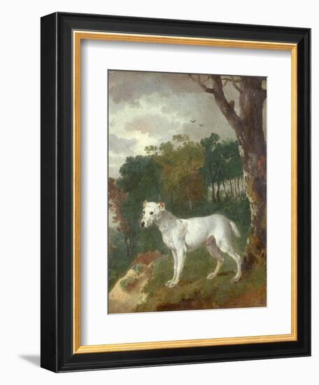 "Bumper", a Bull Terrier, 1745-Thomas Gainsborough-Framed Giclee Print