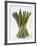 Bunch of Asparagus-null-Framed Photographic Print