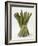 Bunch of Asparagus-null-Framed Photographic Print