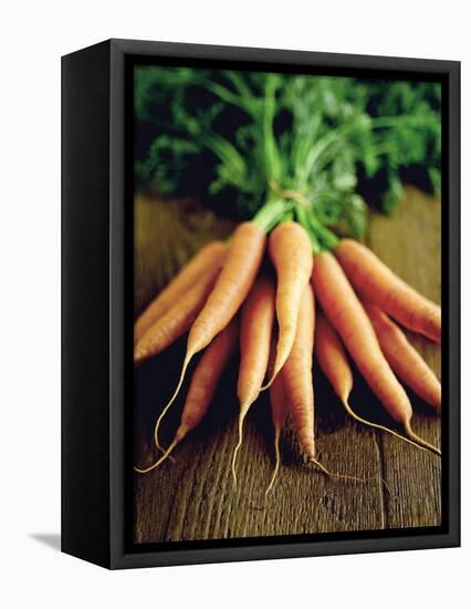 Bunch of Carrots-Peter Howard Smith-Framed Premier Image Canvas