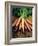 Bunch of Carrots-Peter Howard Smith-Framed Photographic Print