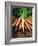 Bunch of Carrots-Peter Howard Smith-Framed Photographic Print