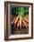 Bunch of Carrots-Peter Howard Smith-Framed Photographic Print